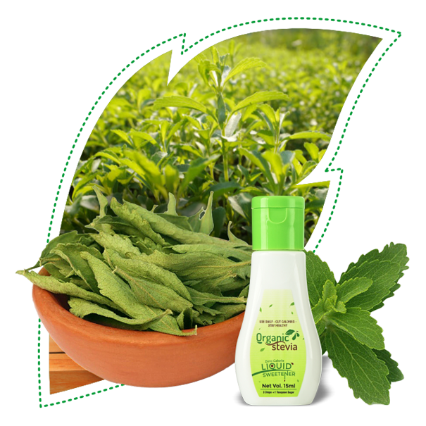 organic stevia aboutus